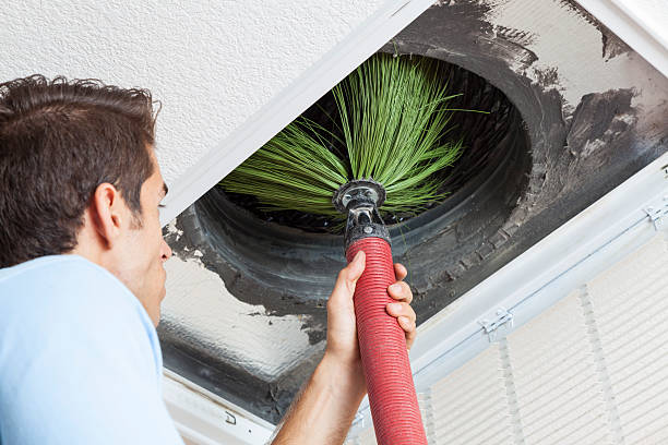 Best HVAC Air Duct Cleaning  in Bellemont, AZ